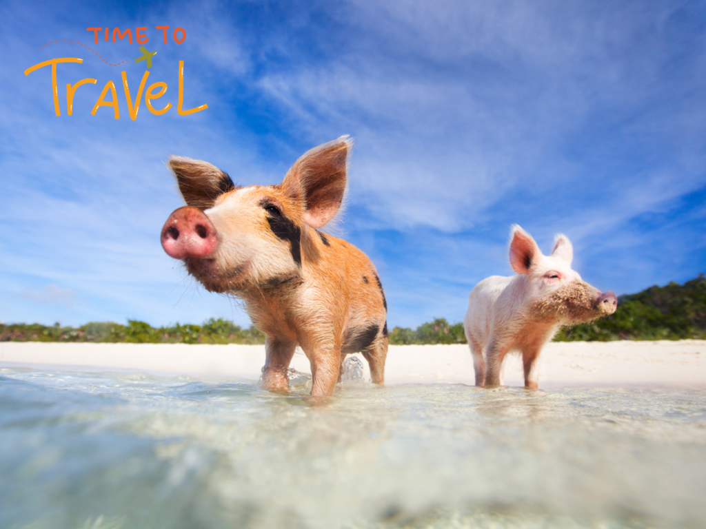 Pig-Beach, Bahamas